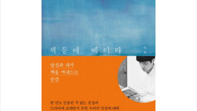 책등에베이다? 나만 몰랐던 꿀템 후기! ✨