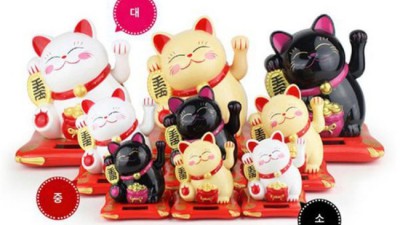 놓치면 후회! 네코이와이 솔직 후기 & 꿀팁 대방출 😻
